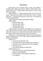 Biznesa plāns 'Biznesa plāns', 3.