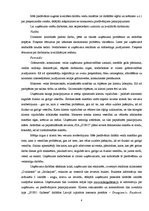 Biznesa plāns 'Biznesa plāns', 4.