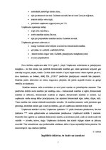 Biznesa plāns 'Biznesa plāns', 7.