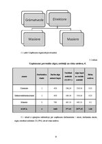 Biznesa plāns 'Biznesa plāns', 10.