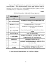 Biznesa plāns 'Biznesa plāns', 12.