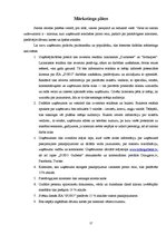 Biznesa plāns 'Biznesa plāns', 17.