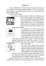 Biznesa plāns 'Biznesa plāns', 18.