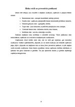 Biznesa plāns 'Biznesa plāns', 20.