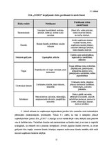 Biznesa plāns 'Biznesa plāns', 21.