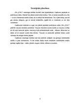 Biznesa plāns 'Biznesa plāns', 22.