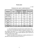 Biznesa plāns 'Biznesa plāns', 27.