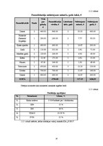 Biznesa plāns 'Biznesa plāns', 28.