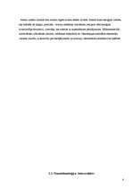 Referāts 'Nanotehnoloģijas un to pielietojums', 6.