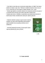 Referāts 'Nanotehnoloģijas un to pielietojums', 7.