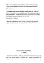 Referāts 'Nanotehnoloģijas un to pielietojums', 11.