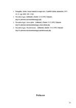 Referāts 'Nanotehnoloģijas un to pielietojums', 22.