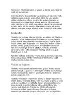 Referāts 'Tibeta', 2.