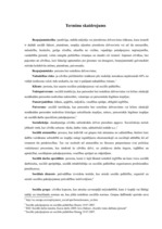 Referāts 'Bezpajumtniecības problemātikas risnāšanas iespējas Rīgā', 5.