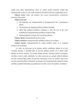 Referāts 'Bezpajumtniecības problemātikas risnāšanas iespējas Rīgā', 8.