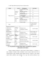 Referāts 'Bezpajumtniecības problemātikas risnāšanas iespējas Rīgā', 20.