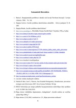 Referāts 'Bezpajumtniecības problemātikas risnāšanas iespējas Rīgā', 41.