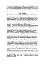 Referāts 'Kaķi', 14.