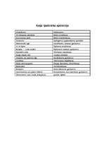 Referāts 'Kaķi', 21.