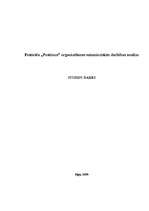 Referāts 'Festivāla "Positivus" organizēšanas saimnieciskās darbības analīze', 1.