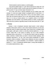 Referāts 'Festivāla "Positivus" organizēšanas saimnieciskās darbības analīze', 4.