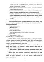 Referāts 'Festivāla "Positivus" organizēšanas saimnieciskās darbības analīze', 6.