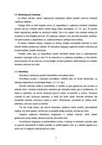 Referāts 'Festivāla "Positivus" organizēšanas saimnieciskās darbības analīze', 7.