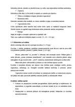 Referāts 'Festivāla "Positivus" organizēšanas saimnieciskās darbības analīze', 9.