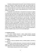 Referāts 'Festivāla "Positivus" organizēšanas saimnieciskās darbības analīze', 17.