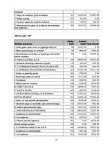 Referāts 'Festivāla "Positivus" organizēšanas saimnieciskās darbības analīze', 25.