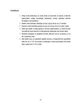 Referāts 'Festivāla "Positivus" organizēšanas saimnieciskās darbības analīze', 28.