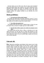 Referāts 'Elīna Zālīte "Agrā rūsa" - darba analīze', 2.