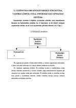 Referāts 'ZS "Kalnāji"', 2.