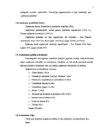 Biznesa plāns 'Deju skola SIA "Tikai draugi"', 5.