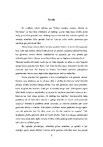 Referāts 'Romāns "Henke no Pāvilostas"', 2.