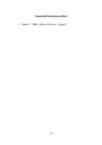 Referāts 'Romāns "Henke no Pāvilostas"', 13.