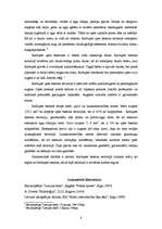 Referāts 'Riežupes upes hidroloģiskais raksturojums', 8.