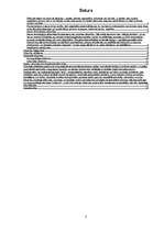 Referāts 'Nepilngadīgo atkarība no procesiem', 2.