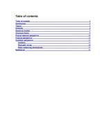 Referāts 'Islande Hotel', 2.