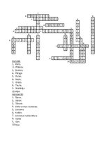 Konspekts 'Krustvārdu mīkla. Vārdi, kādus ikdienā nelieto', 3.