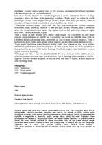 Referāts 'Aigars Grauba', 3.