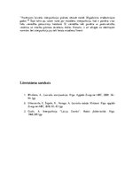 Referāts 'Latviešu valodas interpunkcijas vēsture 17.-20.gadsimtā', 7.