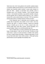 Eseja 'Dabas katastrofas un to ietekme uz dabu un cilvēku dzīvi', 3.