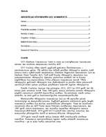 Referāts 'Investīciju vērtspapīri UCC konspektā', 2.