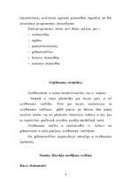 Referāts 'Grāmatvedība uzņēmumā', 8.