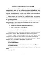 Referāts 'Transnacionālo korporāciju darbība Latvijā', 4.