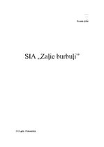 Biznesa plāns 'Biznesa plāns SIA "Burbuļi"', 1.