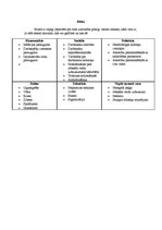 Biznesa plāns 'Biznesa plāns SIA "Burbuļi"', 11.