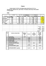 Biznesa plāns 'Biznesa plāns SIA "Burbuļi"', 12.