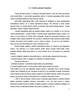 Referāts 'Valoda partiju priekšvēlēšanu programmās, publikācijās un intervijās', 5.